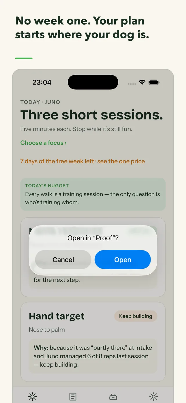 The assessment: what can your dog already do