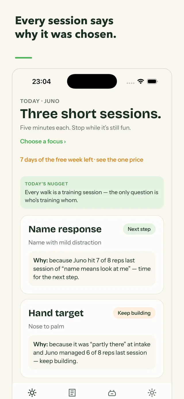 The daily plan: every session says why it was chosen