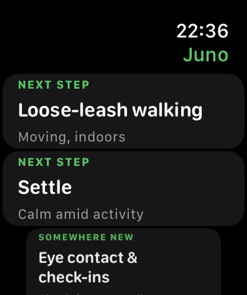 The same plan on Apple Watch